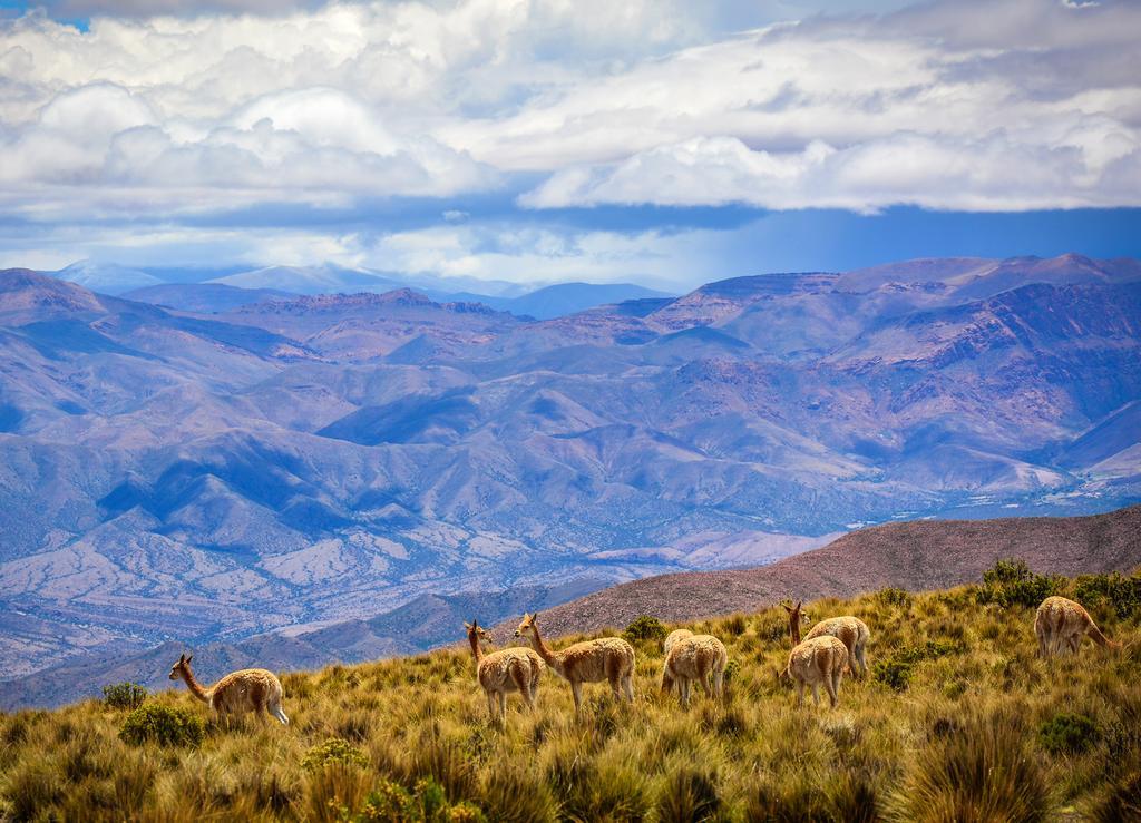 El Hornocal Hotel Humahuaca Zewnętrze zdjęcie